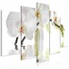 Quadro - Wonderful Orchid (5 Parts) Wide