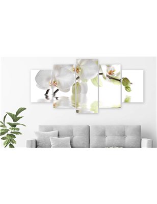 Quadro - Wonderful Orchid (5 Parts) Wide