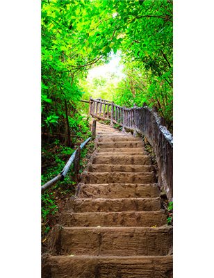 Fotomurale per porta - Photo wallpaper – Stairs from nature I