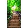 Fotomurale per porta - Photo wallpaper – Stairs from nature I