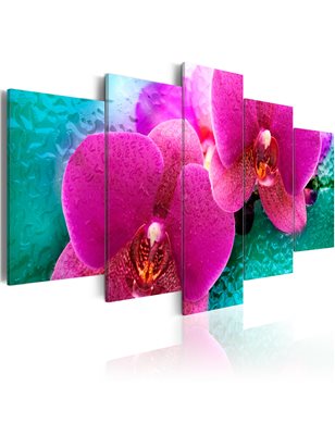 Quadro - Exotic orchids