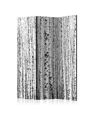 Paravento - Birch forest [Room Dividers]