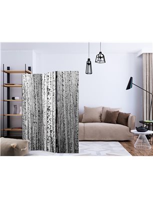 Paravento - Birch forest [Room Dividers]