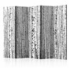 Paravento - Birch forest II [Room Dividers]