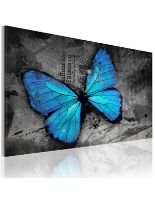 Quadro - Studio di una farfalla