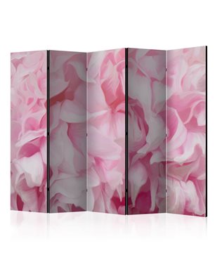 Paravento - azalea (pink) II [Room Dividers]