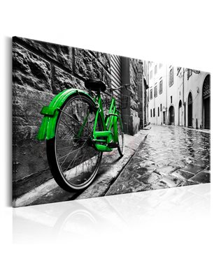 Quadro - Vintage Green Bike