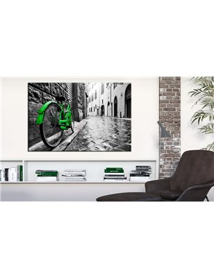 Quadro - Vintage Green Bike