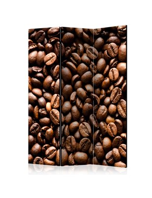 Paravento - Roasted coffee beans [Room Dividers]