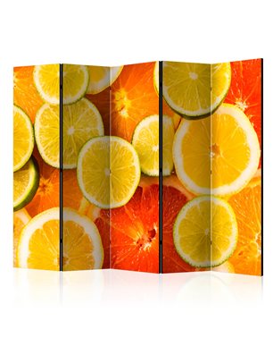 Paravento - Citrus fruits II [Room Dividers]