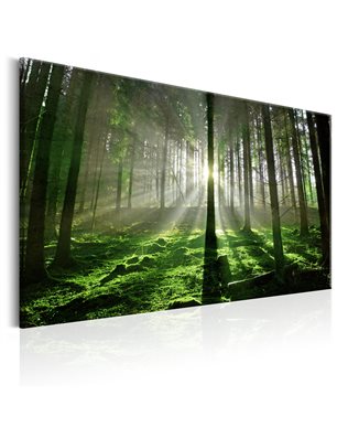 Quadro - Emerald Forest II