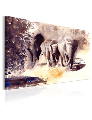 Quadro - Watercolour Elephants