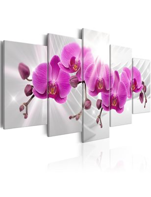 Quadro - Abstract Garden: Pink Orchids