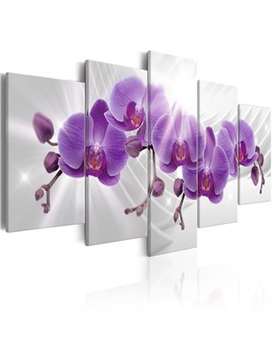 Quadro - Abstract Garden: Purple Orchis