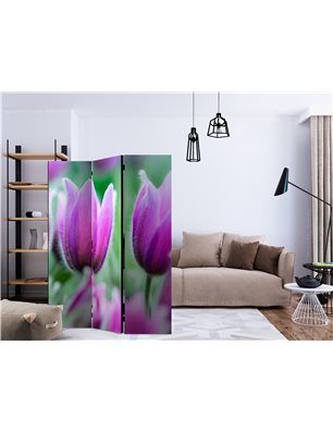 Paravento - Purple spring tulips [Room Dividers]