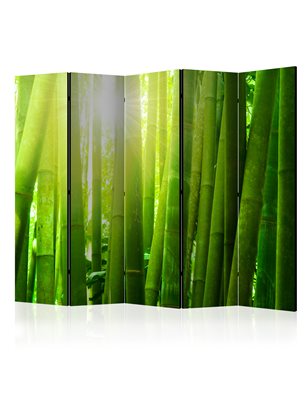 Paravento - Sun and bamboo II [Room Dividers]