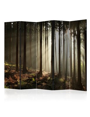 Paravento - Coniferous forest II [Room Dividers]