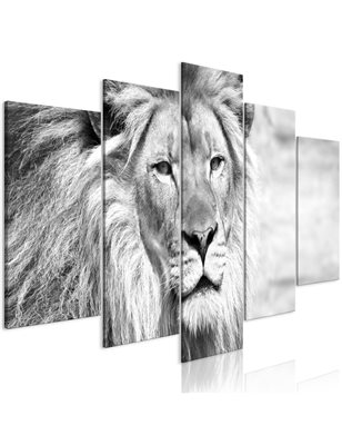 Quadro - The King of Beasts (5 Parts) Wide Black and White