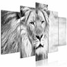 Quadro - The King of Beasts (5 Parts) Wide Black and White