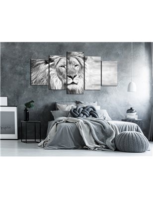 Quadro - The King of Beasts (5 Parts) Wide Black and White