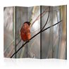 Paravento - Bullfinch in the forest II [Room Dividers]