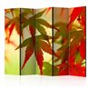 Paravento - Colourful leaves II [Room Dividers]