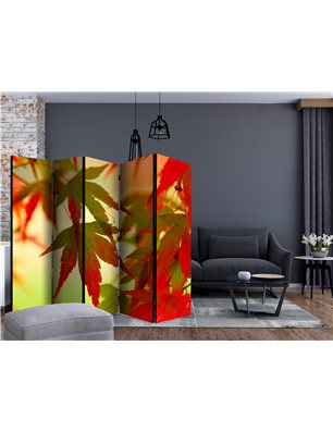 Paravento - Colourful leaves II [Room Dividers]