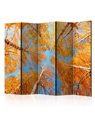Paravento  Autumnal treetops II [Room Dividers]