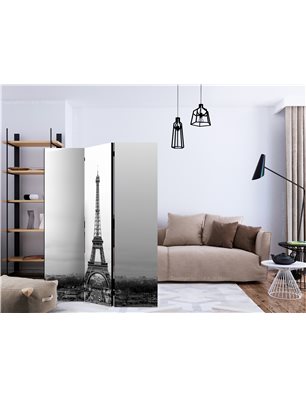 Paravento - Paris: black and white photography [Room Dividers]