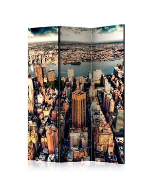 Paravento - Bird's Eye View of New York [Room Dividers]