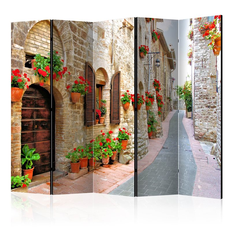 Paravento Italian province II [Room Dividers]