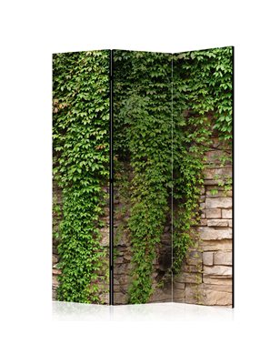 Paravento - Ivy wall [Room Dividers]