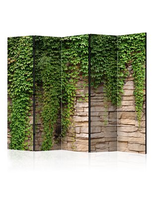 Paravento - Ivy wall II [Room Dividers]