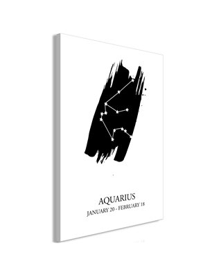 Quadro - Zodiac Signs: Aquarius (1 Part) Vertical