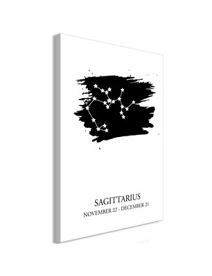Quadro - Zodiac Signs: Sagittarius (1 Part) Vertical