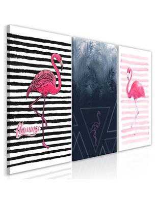 Quadro - Flamingos (Collection)