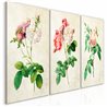 Quadro - Floral Trio (Collection)