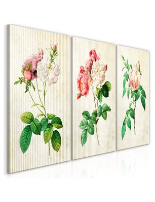 Quadro - Floral Trio (Collection)