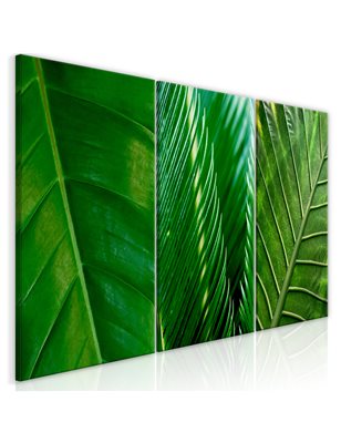 Quadro - Leaves (Collection)