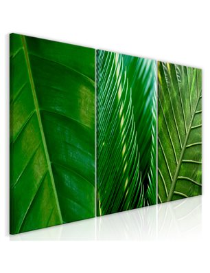 Quadro - Leaves (Collection)