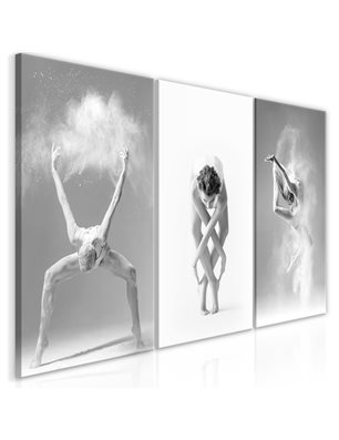Quadro - Ballet (Collection)