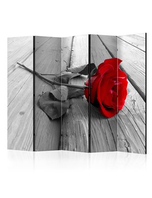 Paravento - Abandoned Rose II [Room Dividers]
