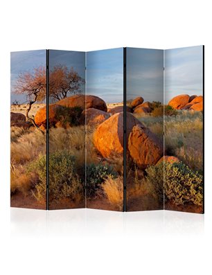 Paravento - African landscape, Namibia II [Room Dividers]