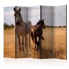 Paravento - Horse and foal II [Room Dividers]