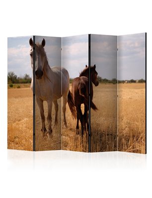 Paravento - Horse and foal II [Room Dividers]