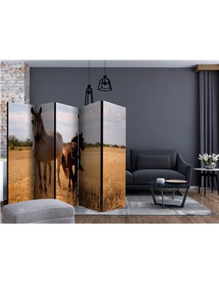 Paravento - Horse and foal II [Room Dividers]