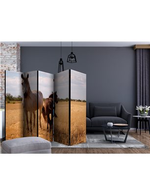 Paravento - Horse and foal II [Room Dividers]