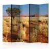 Paravento - Desert landscape, Namibia II [Room Dividers]