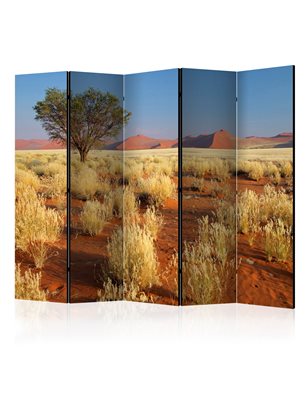 Paravento - Desert landscape, Namibia II [Room Dividers]