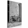 Quadro - Old Italian Bicycle (1 Part) Vertical